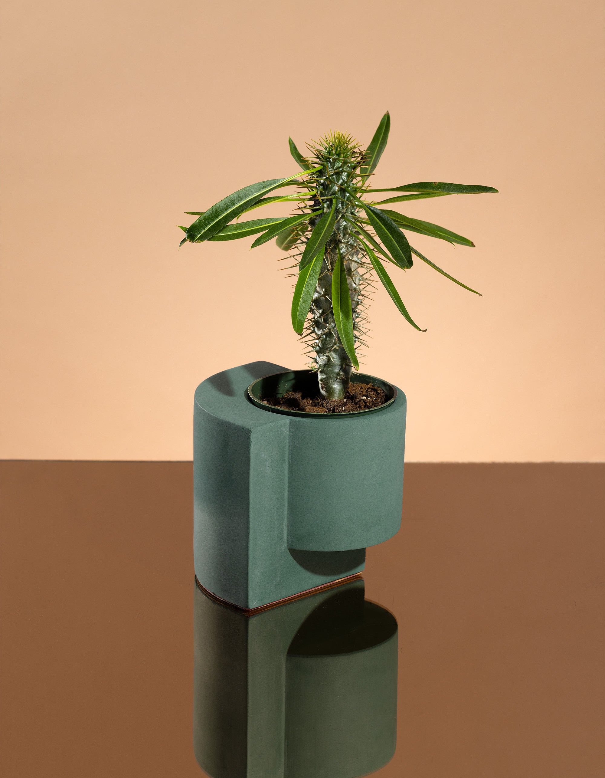 polished concrete plant pots Platform Planter Small