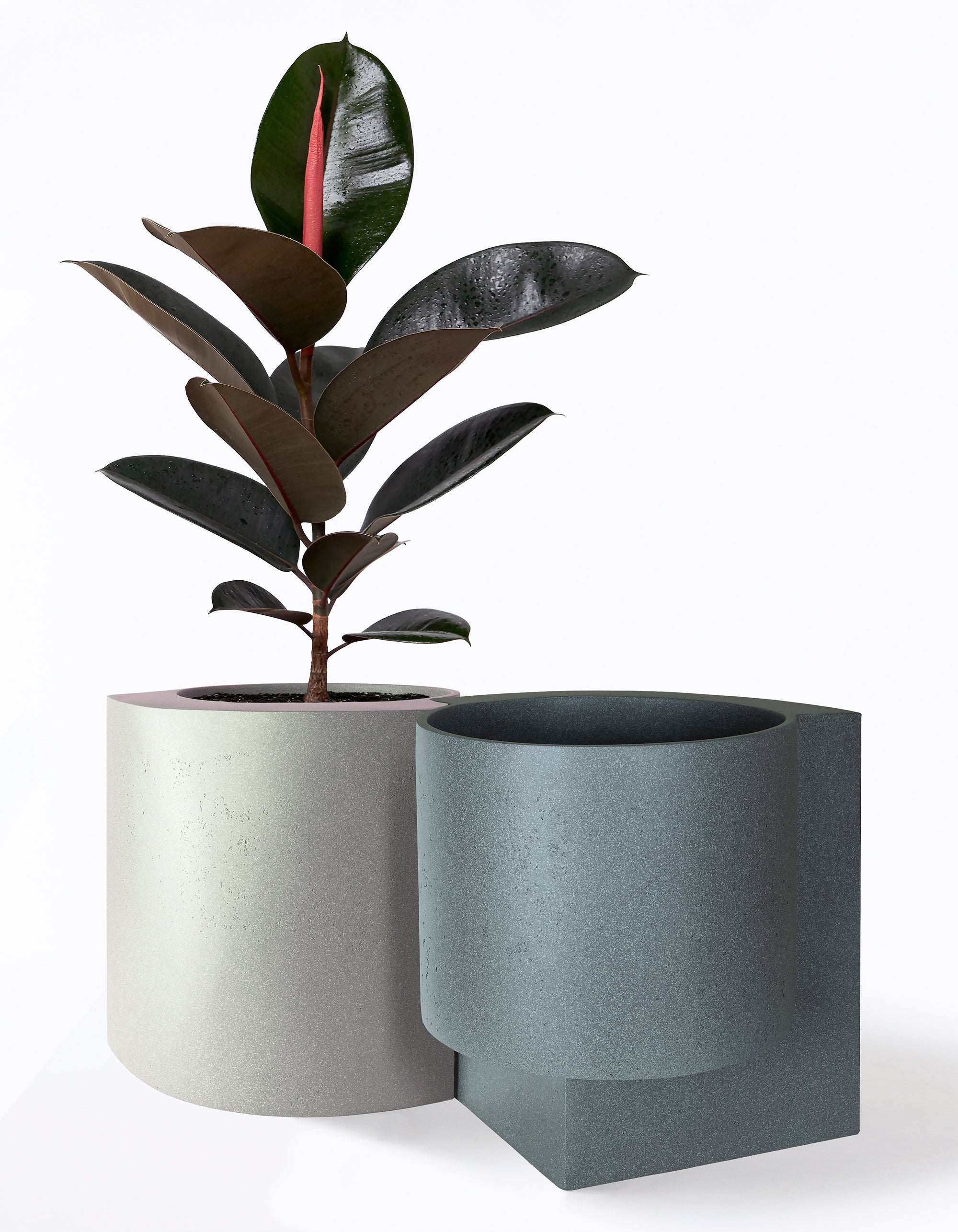Platform Planter Large