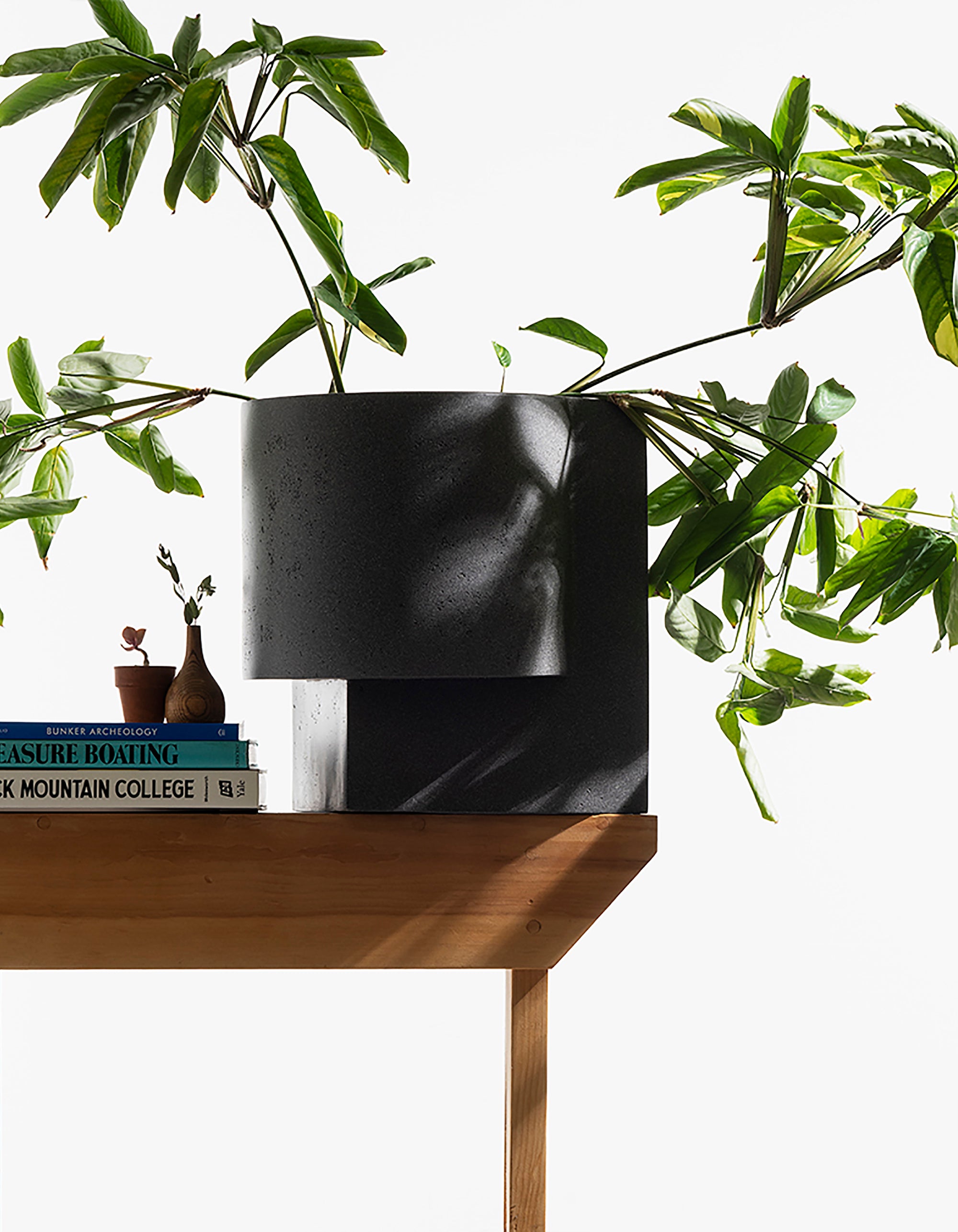 Platform Planter Large